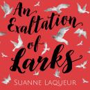 An Exaltation of Larks Audiobook