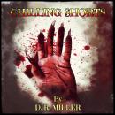 Chilling Shorts: Twisted Tales Of Madness, Disturbia And The Supernatural, For Enjoyment Before Bedt Audiobook