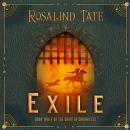 Exile: A Romantic Time Travel Mystery Audiobook