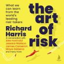 The Art of Risk Audiobook