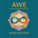 AWE Awareness Wonder Expectancy: Now Consciously Create Your Personal Universe Audiobook