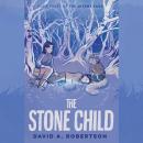 The Stone Child: The Misewa Saga, Book Three Audiobook