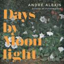 Days by Moonlight Audiobook