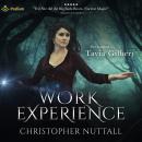Work Experience: Schooled in Magic, Book 4 Audiobook