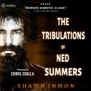The Tribulations of Ned Summers: Middle Falls Time Travel, Book 9 Audiobook