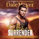 Stone's Surrender: Book 2: Heroes For Hire