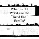 What in the World are the Dead Sea Scrolls? Audiobook