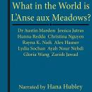 What in the World is L'Anse aux Meadows? Audiobook