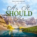 As It Should Be: Romantic Drama | Novel Audiobook