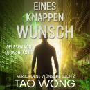 [German] - Eines Knappen Wunsch: Eine LitRPG Urban Fantasie Audiobook