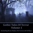 Gothic Tales of Terror - Volume 1 Audiobook