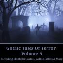 Gothic Tales of Terror - Volume 5 Audiobook