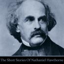 Nathaniel Hawthorne: The Short Stories Audiobook