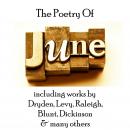 The Poetry of June Audiobook