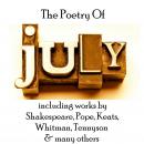 The Poetry of July Audiobook