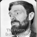 DH Lawrence - The Poetry Audiobook
