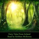 Fairy Tales From Ireland Audiobook