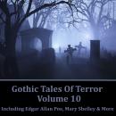 Gothic Tales of Terror - Volume 10 Audiobook