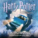 Cover of Harry Potter and the Chamber of Secrets