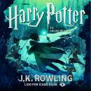 [Portuguese] - Harry Potter e o Cálice de Fogo Audiobook