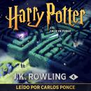 [Spanish] - Harry Potter y el cáliz de fuego Audiobook