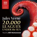 Twenty Thousand Leagues Under the Sea Audiobook