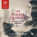 The Female Quixote Audiobook