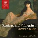 Sentimental Education Audiobook