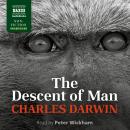 The Descent of Man: The Descent of Man, and Selection in Relation to Sex Audiobook