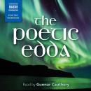 The Poetic Edda Audiobook