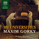 My Universities Audiobook