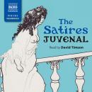 The Satires Audiobook