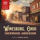 Winesburg, Ohio Audiobook