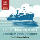 Down There on a Visit Audiobook