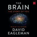 The Brain: The Story of You Audiobook