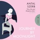Journey by Moonlight Audiobook