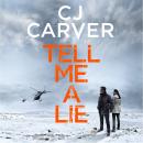 Tell Me A Lie Audiobook