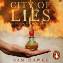 City of Lies Audiobook