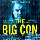 The Big Con Audiobook