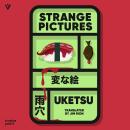 Strange Pictures: The Chilling Japanese Mystery Sensation Audiobook