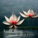 Light Rain in Deep Forest: Nature Sounds for Relaxation Audiobook