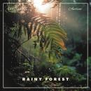 Rainy Forest: Ambient Nature Sounds Audiobook