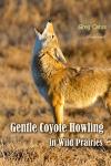 Gentle Coyote Howling in Wild Prairies (Natural World) Audiobook