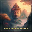 Yoga Introduction Audiobook