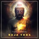 Raja Yoga Audiobook