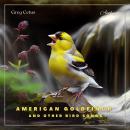 American Goldfinch and Other Bird Songs: Nature Sounds for Study and Meditation Audiobook