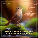 House Wren Singing Near River Stream: Atmospheric Audio for Enlightenment Audiobook