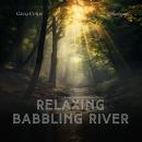Cover of Relaxing Babbling River: Ambient Rainforest Sounds with Babbling Stream