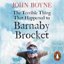 The Terrible Thing That Happened to Barnaby Brocket Audiobook