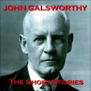 John Galsworthy - The Short Stories Audiobook